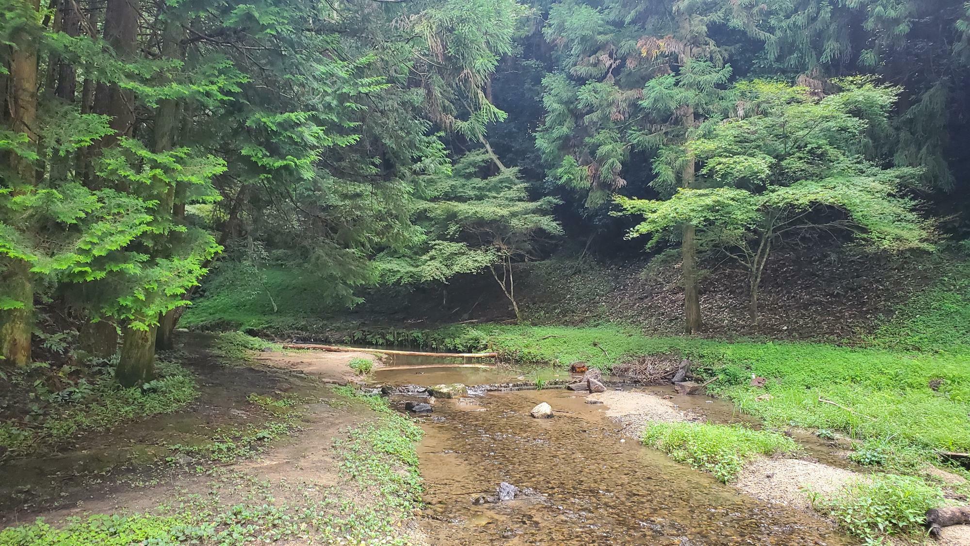 滝から流れ出る小川