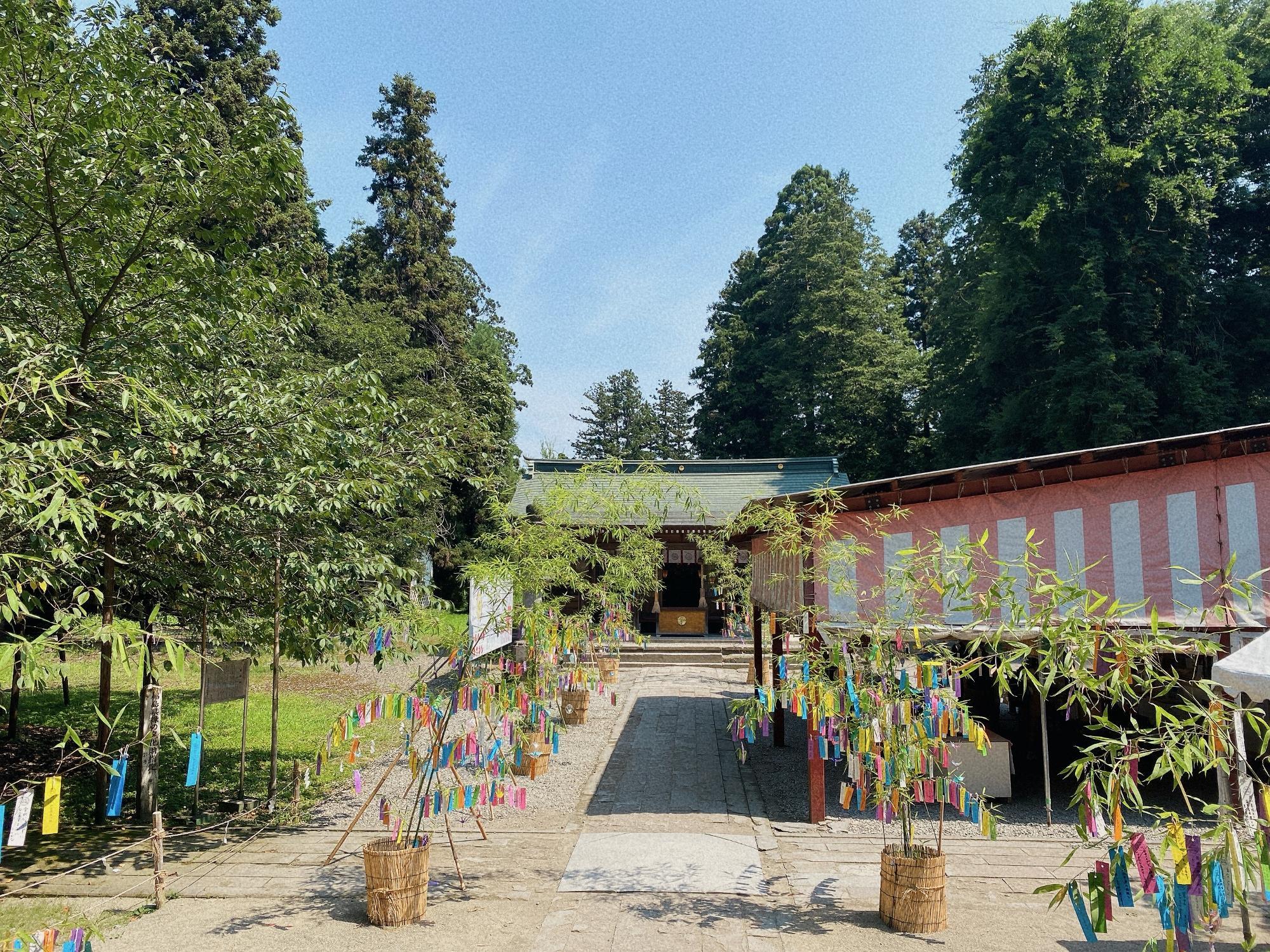 伊佐須美神社(いさすみじんじゃ) 社殿