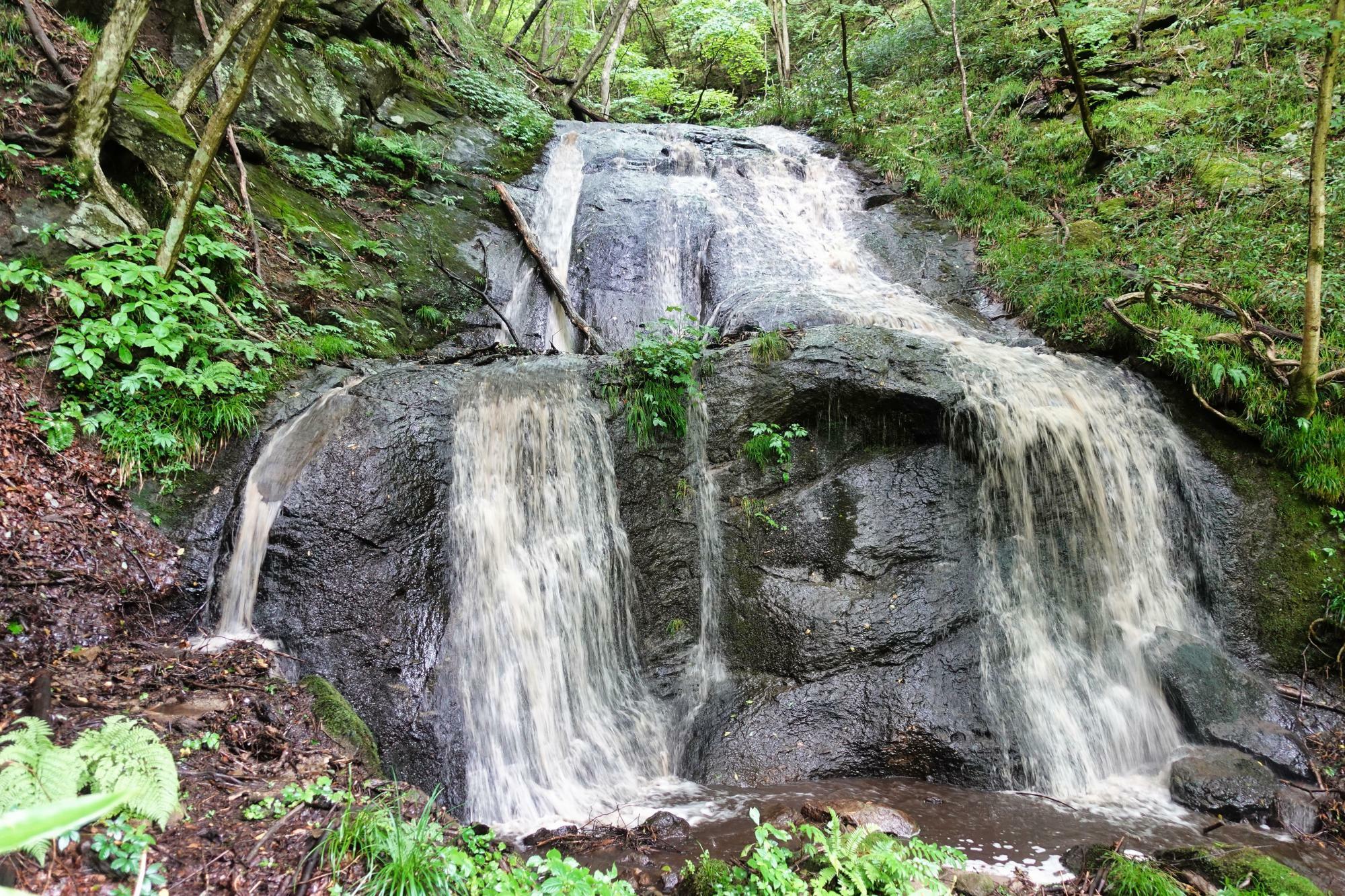 東山 小滝