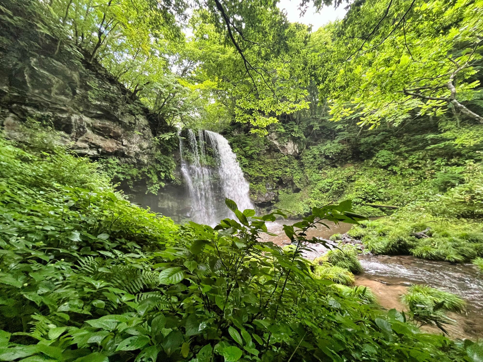 東山 大滝