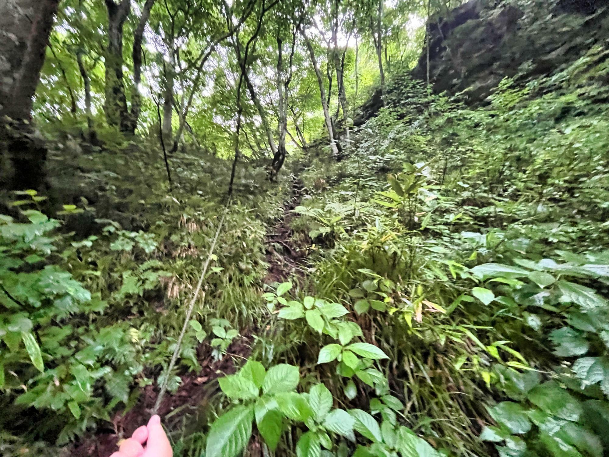 道路から川へ降りるルート 東山 大滝