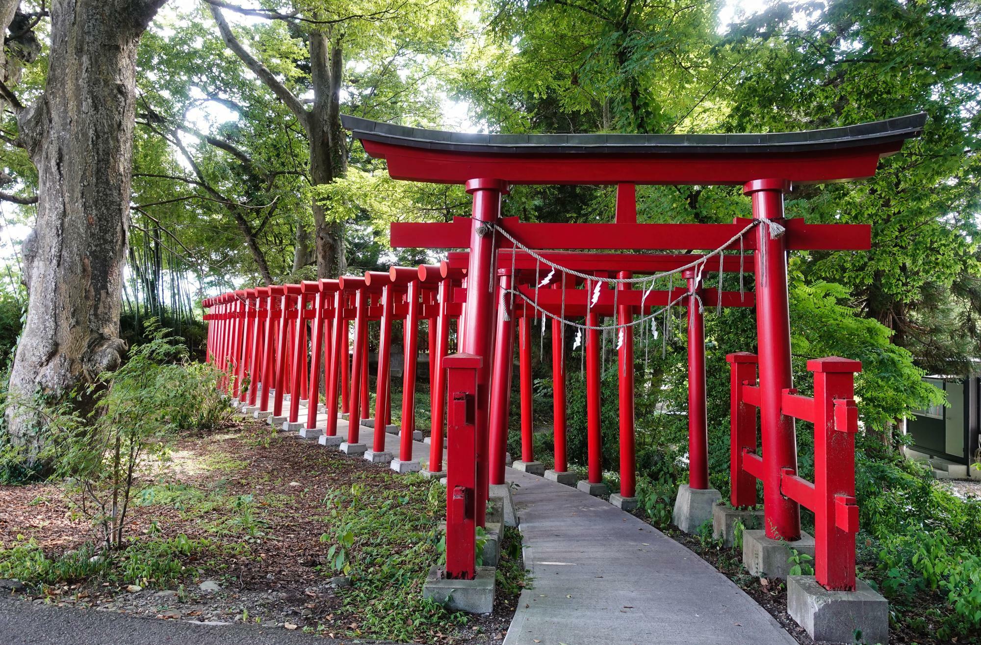 殺生石稲荷神社 (伊佐須美神社 末社)  北側 鳥居