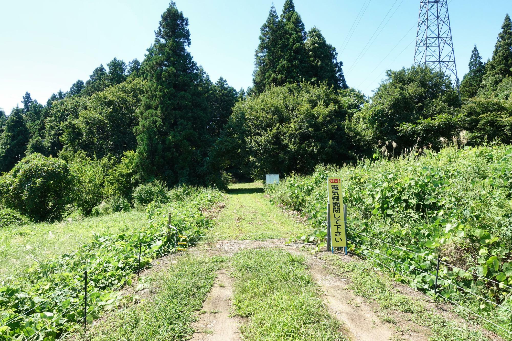 龍ヶ沢湧水ルート 車を降りて徒歩開始