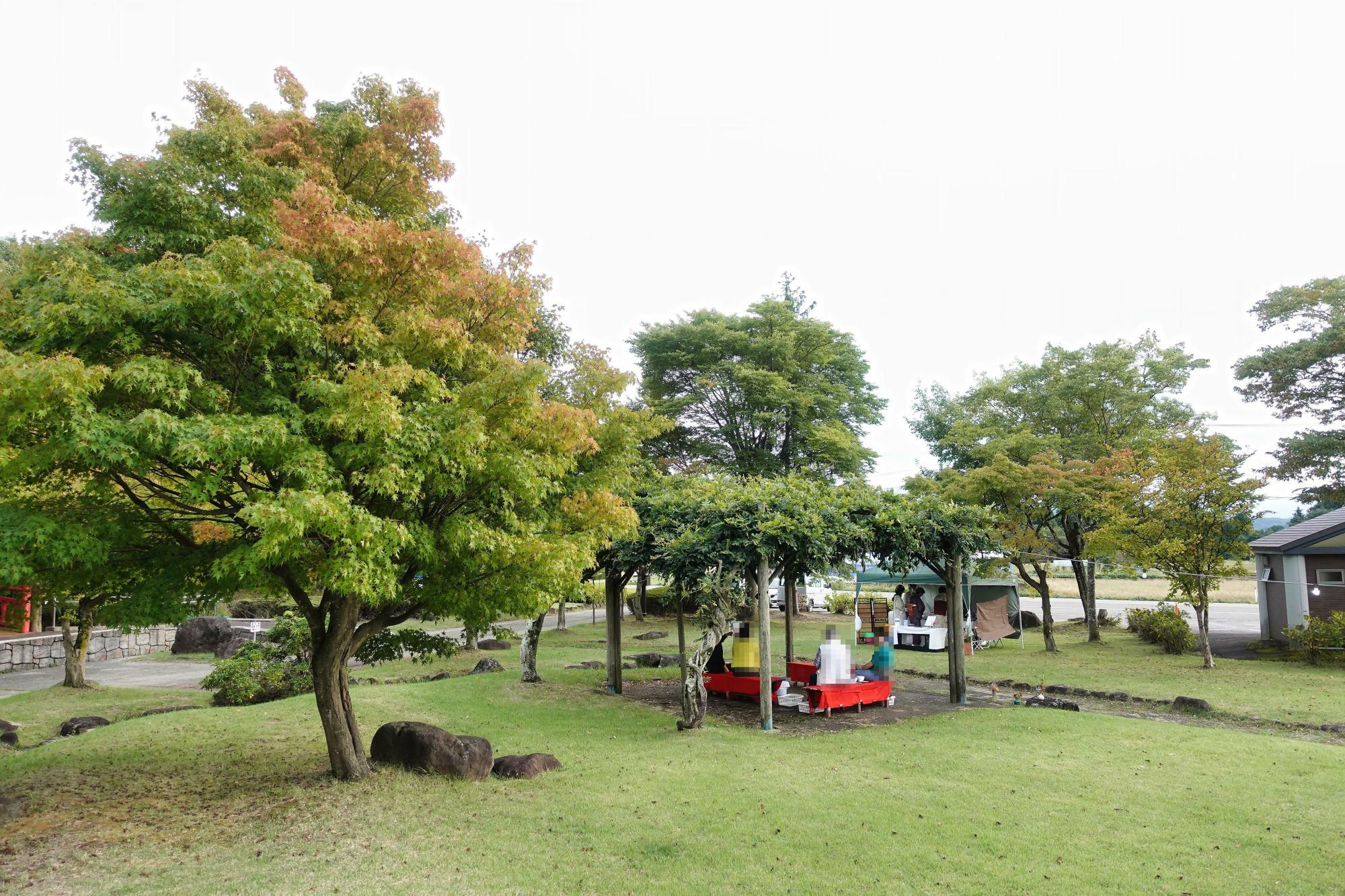 慧日寺資料館 点茶