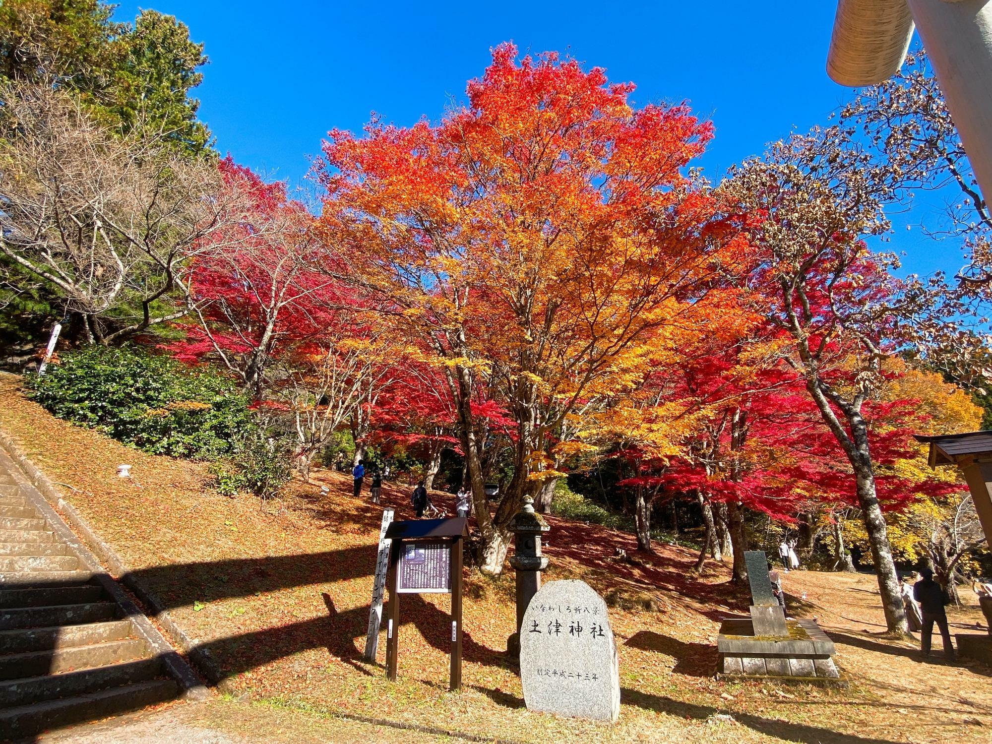 土津神社(はにつ神社)