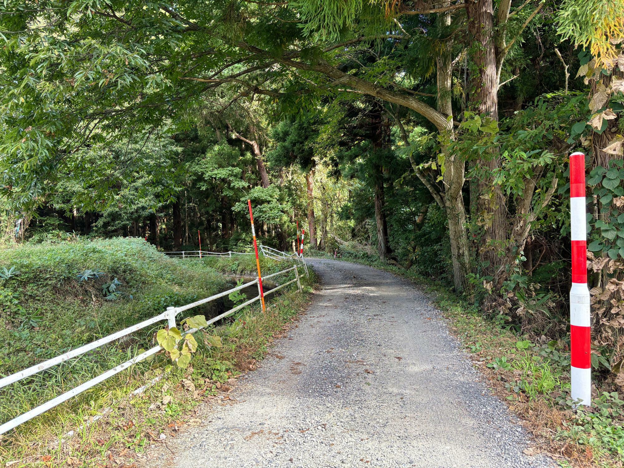 磐椅神社(いわはし神社)への道