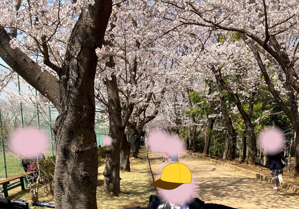 以前に撮影した市制記念公園の桜