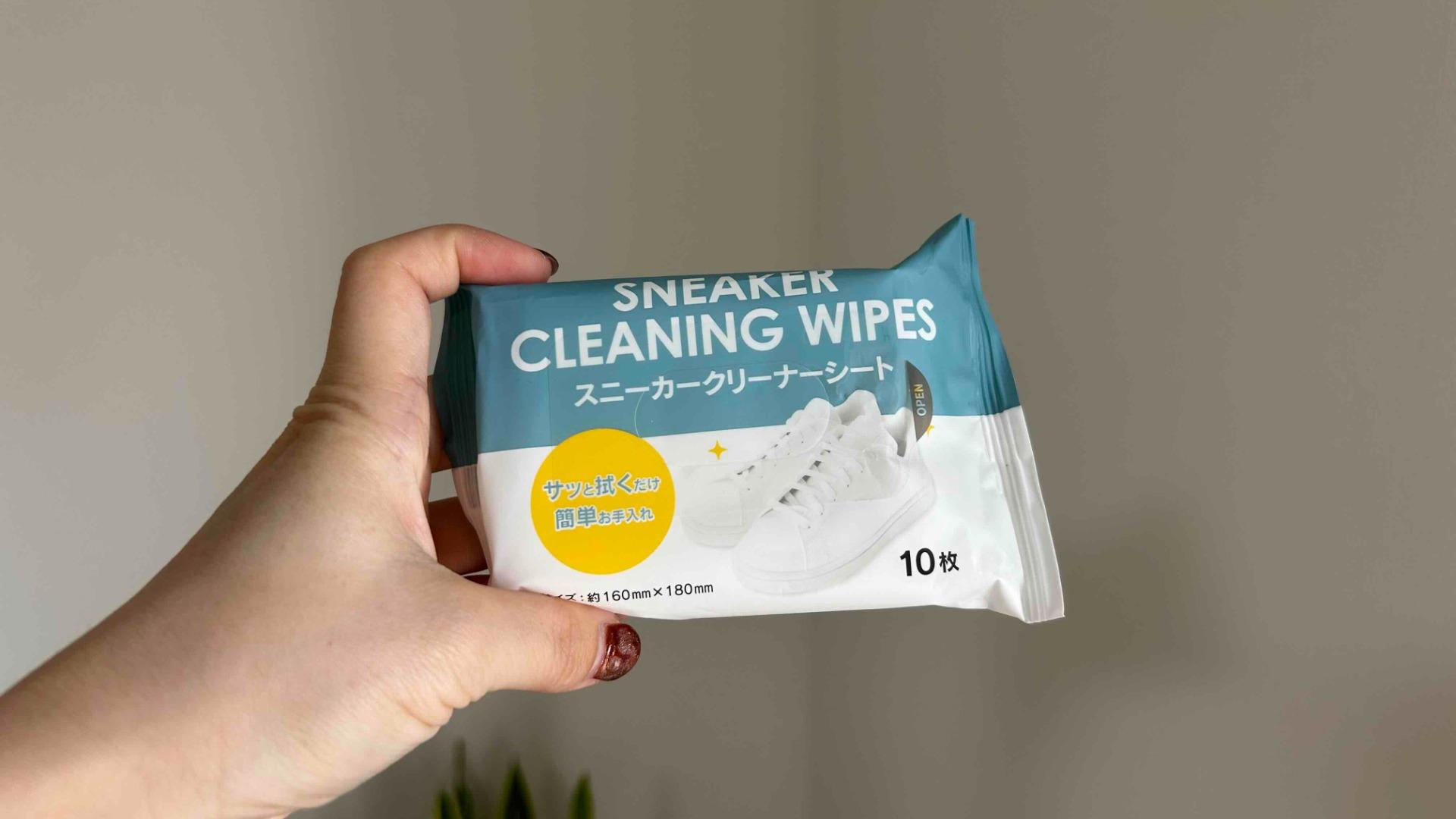 セリア✨ Resin 100 Yen Shop] Vol. 387 Making Halloween and Christmas