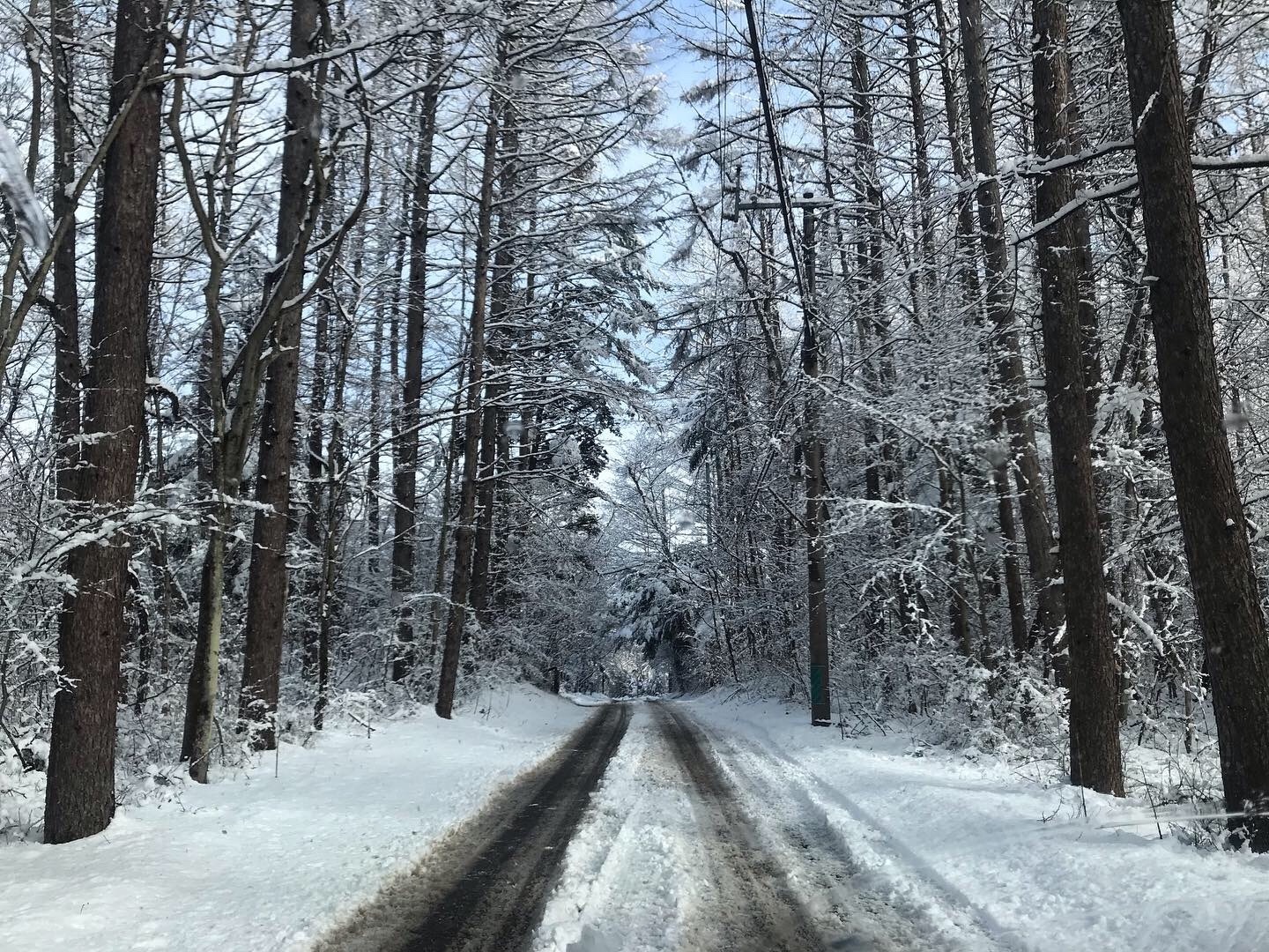 林道には凍った轍がくっきり。運転には十分気をつけてください
