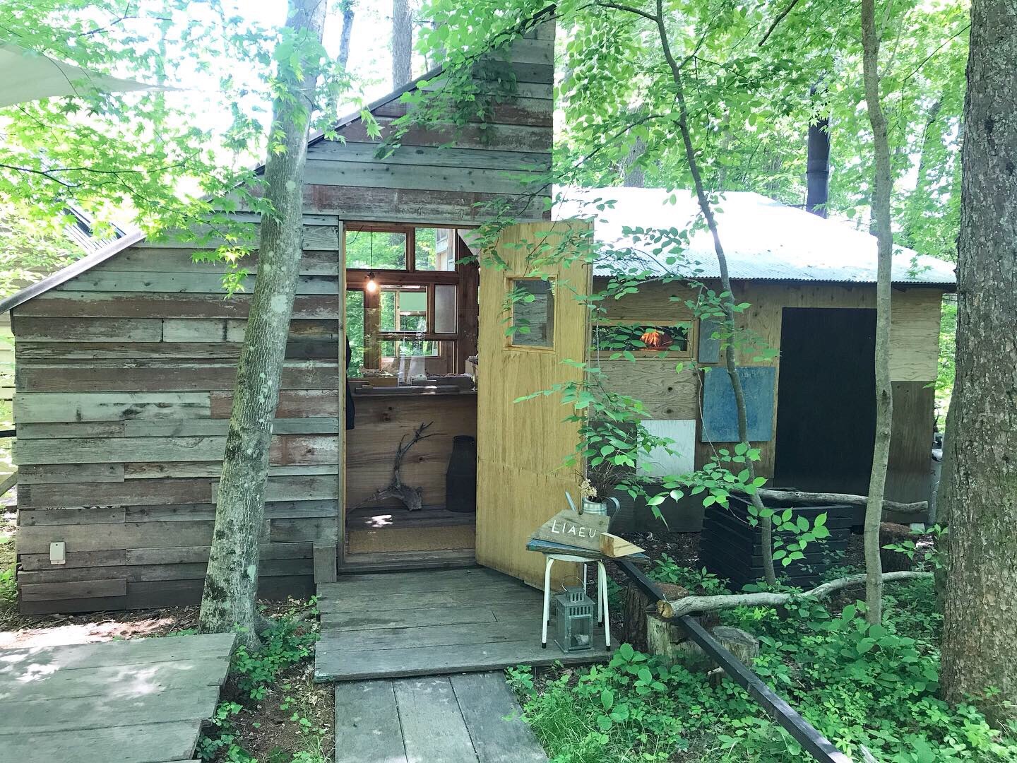 森に溶け込むような小さな小屋がお店です