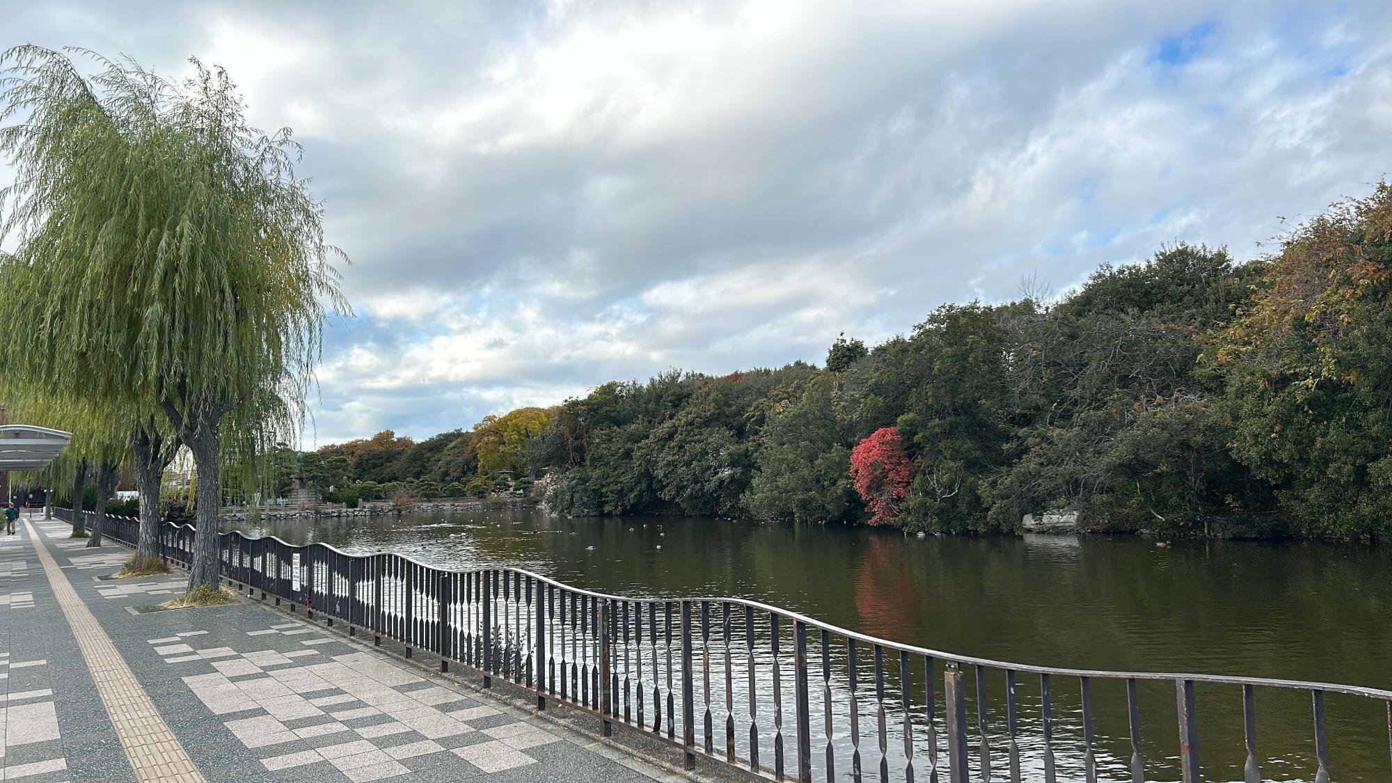 明石駅〜明石公園入口までの道