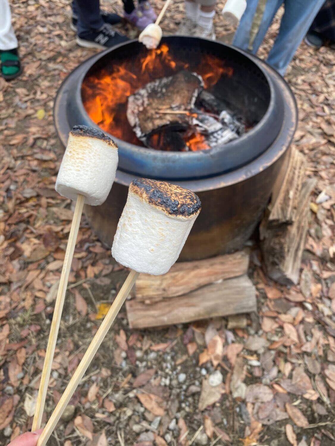 みんな大好きなマシュマロ焼き