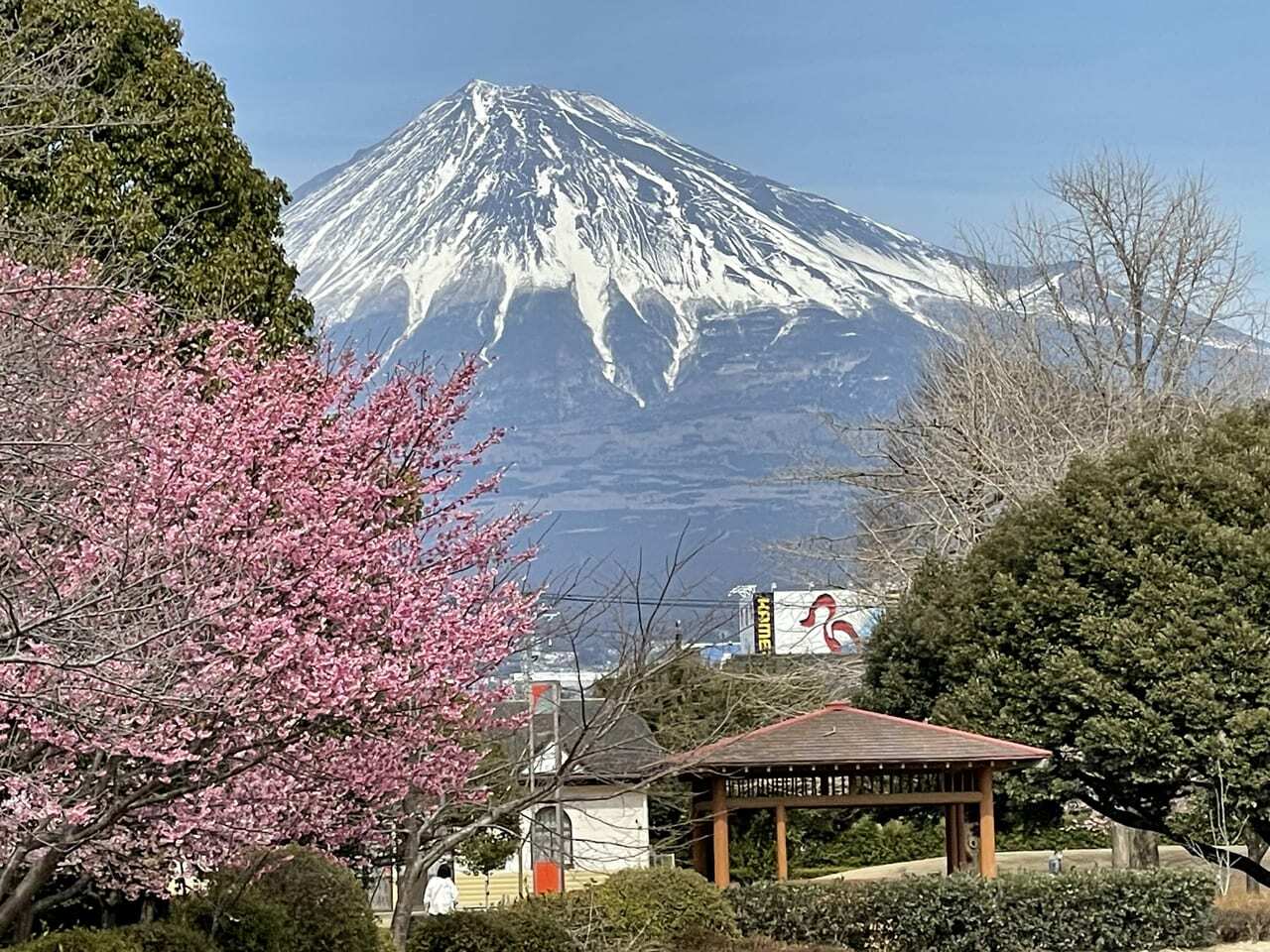 富士山も一望できます