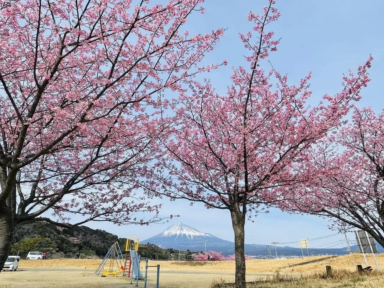 富士山と岩本山と桜