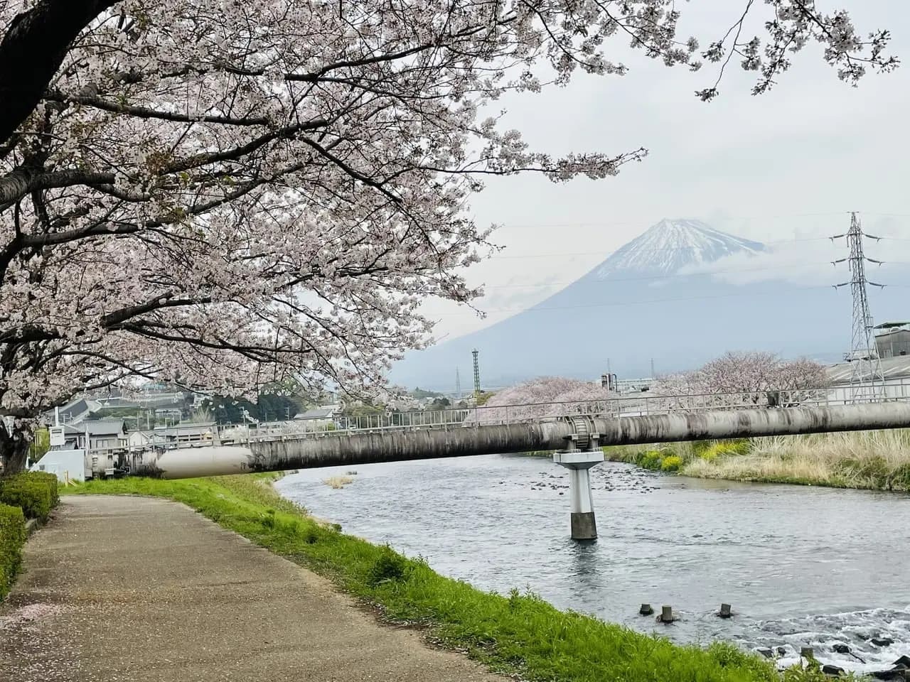 滝戸水神宮からの富士山