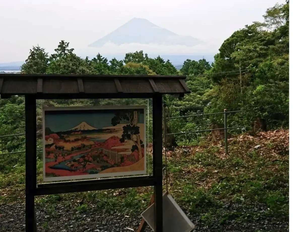 富士山が見渡せます