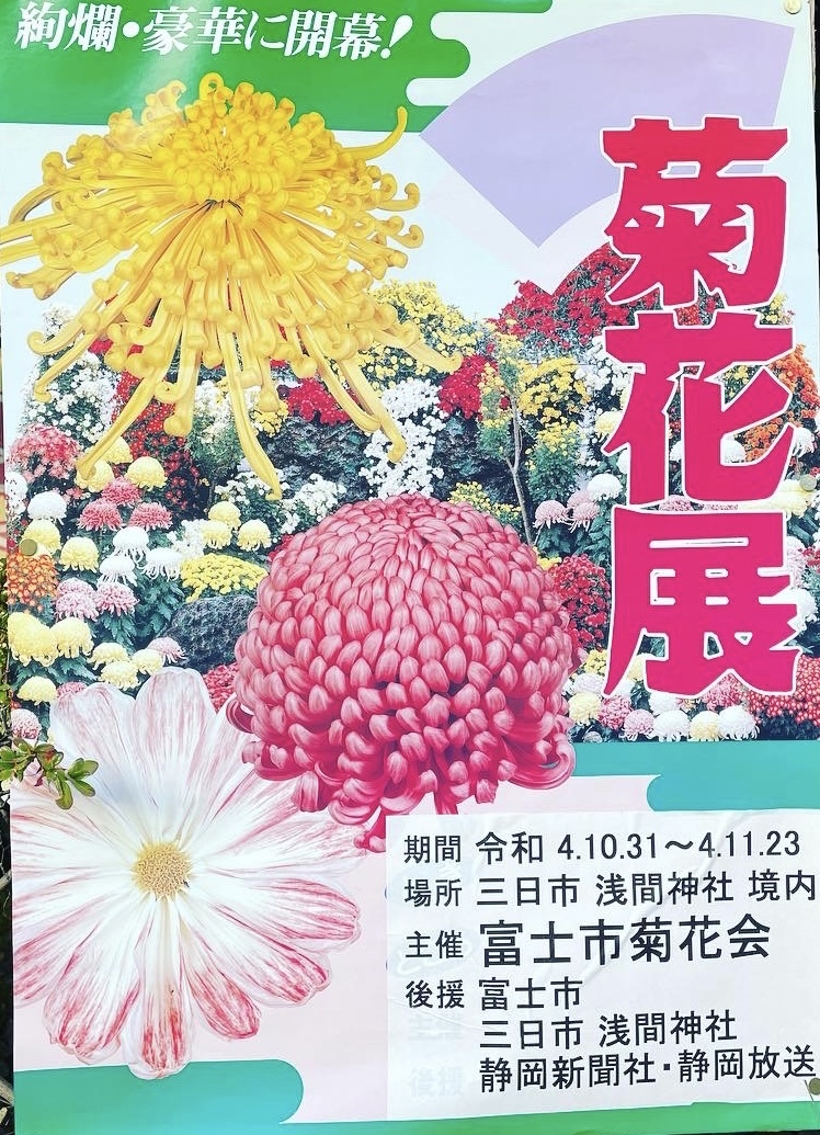 菊花展