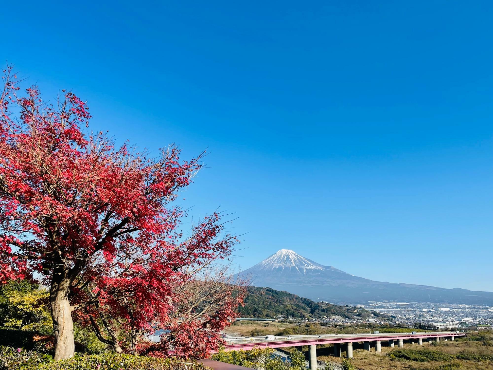 富士山・岩本山・富士川・高速道路