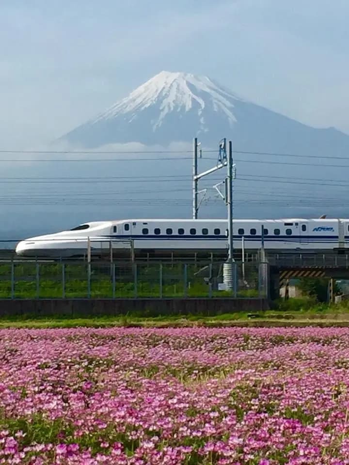 レンゲ畑と富士山と新幹線