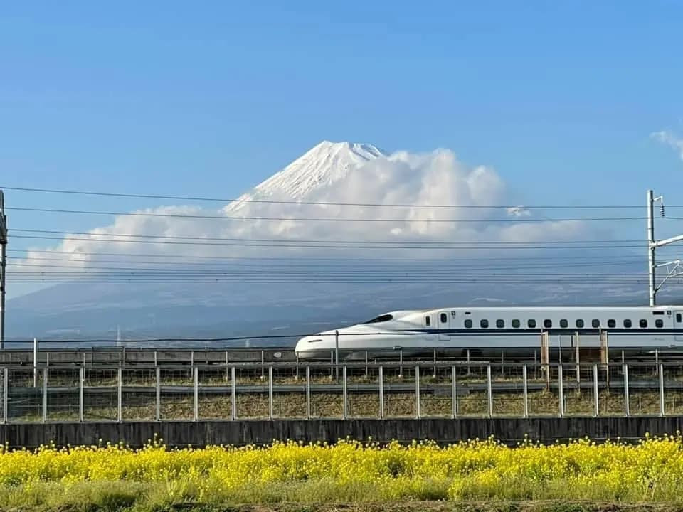 菜の花と新幹線と富士山のコラボ