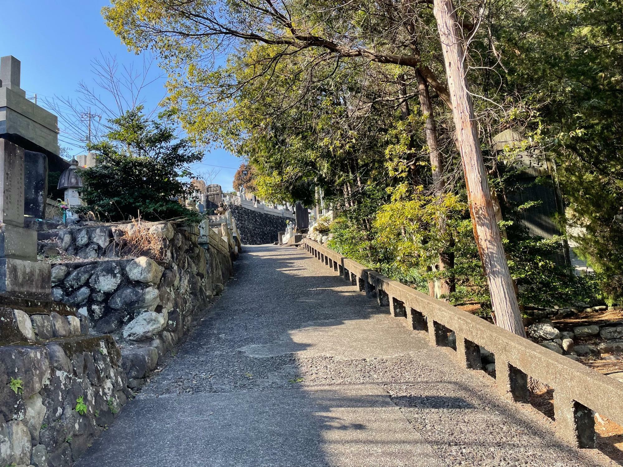 實相寺から岩本山公園へ向かう道