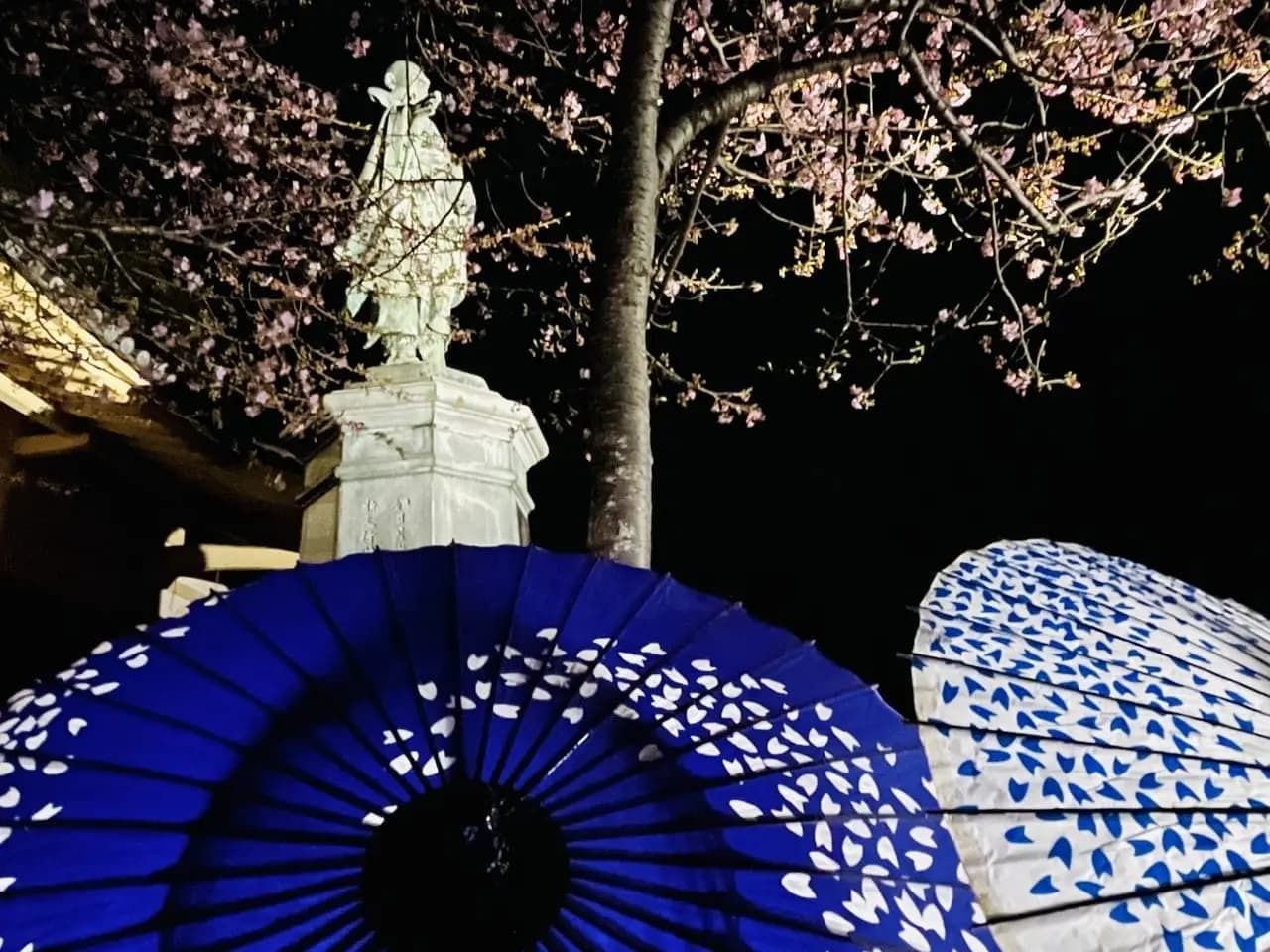 和傘と桜と日蓮聖人像