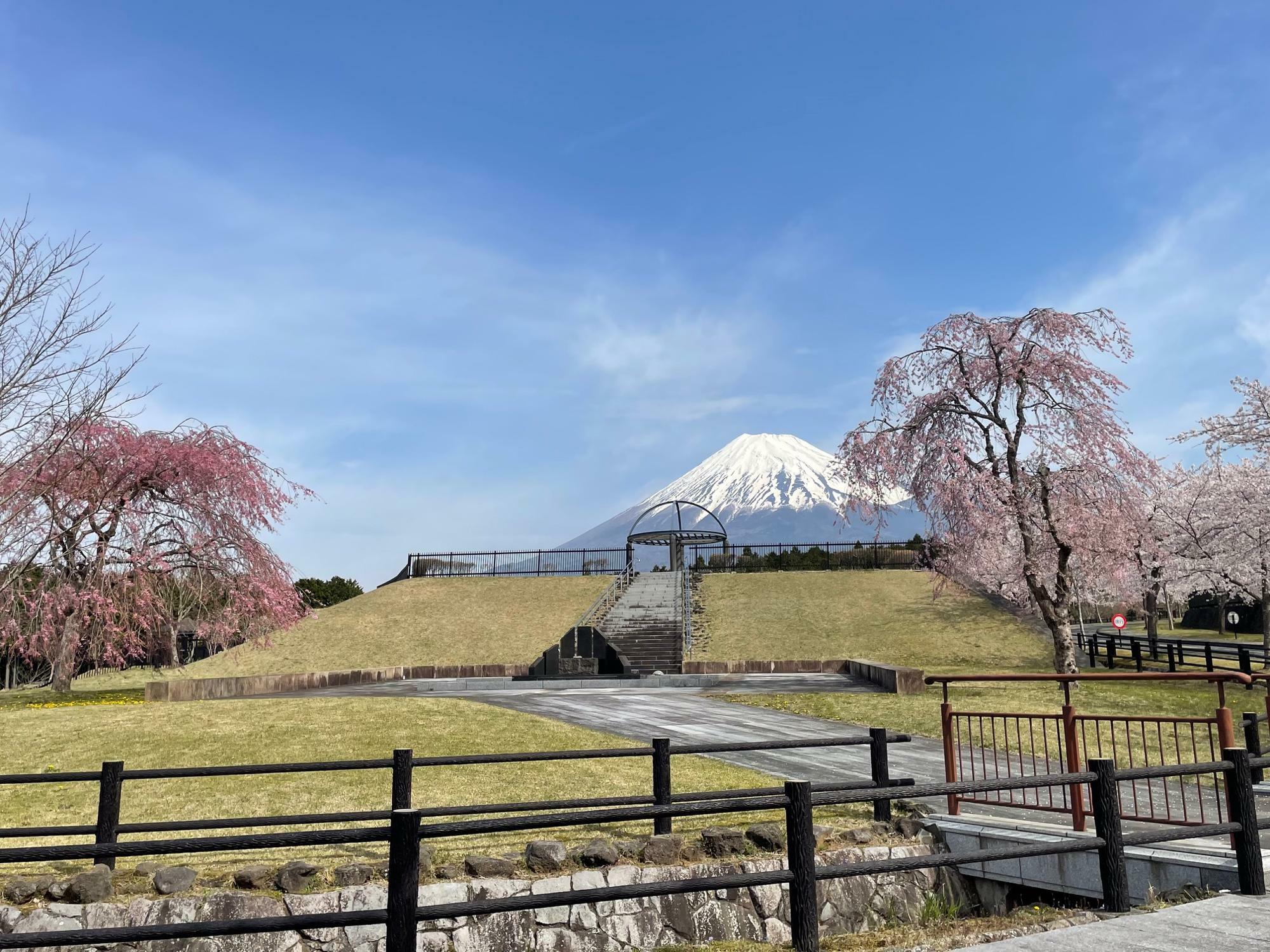 階段の手前も富士山かしら？