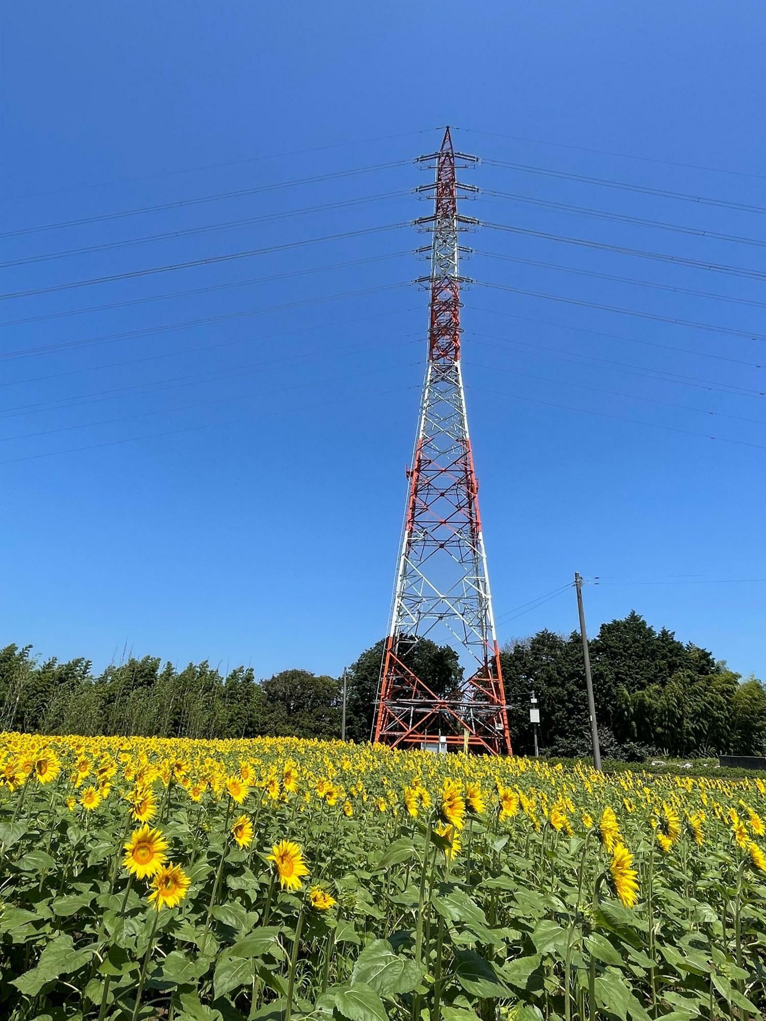 赤と白の鉄塔が目印