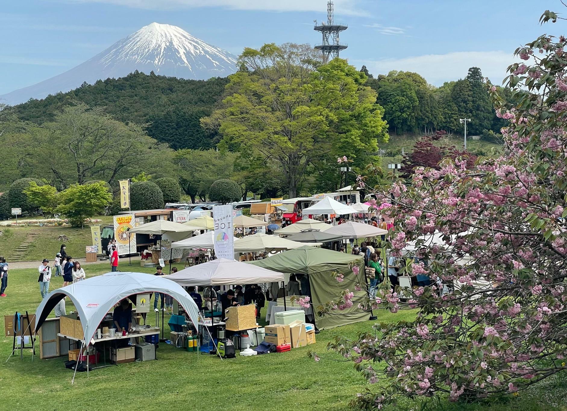 2024年4月20日の様子