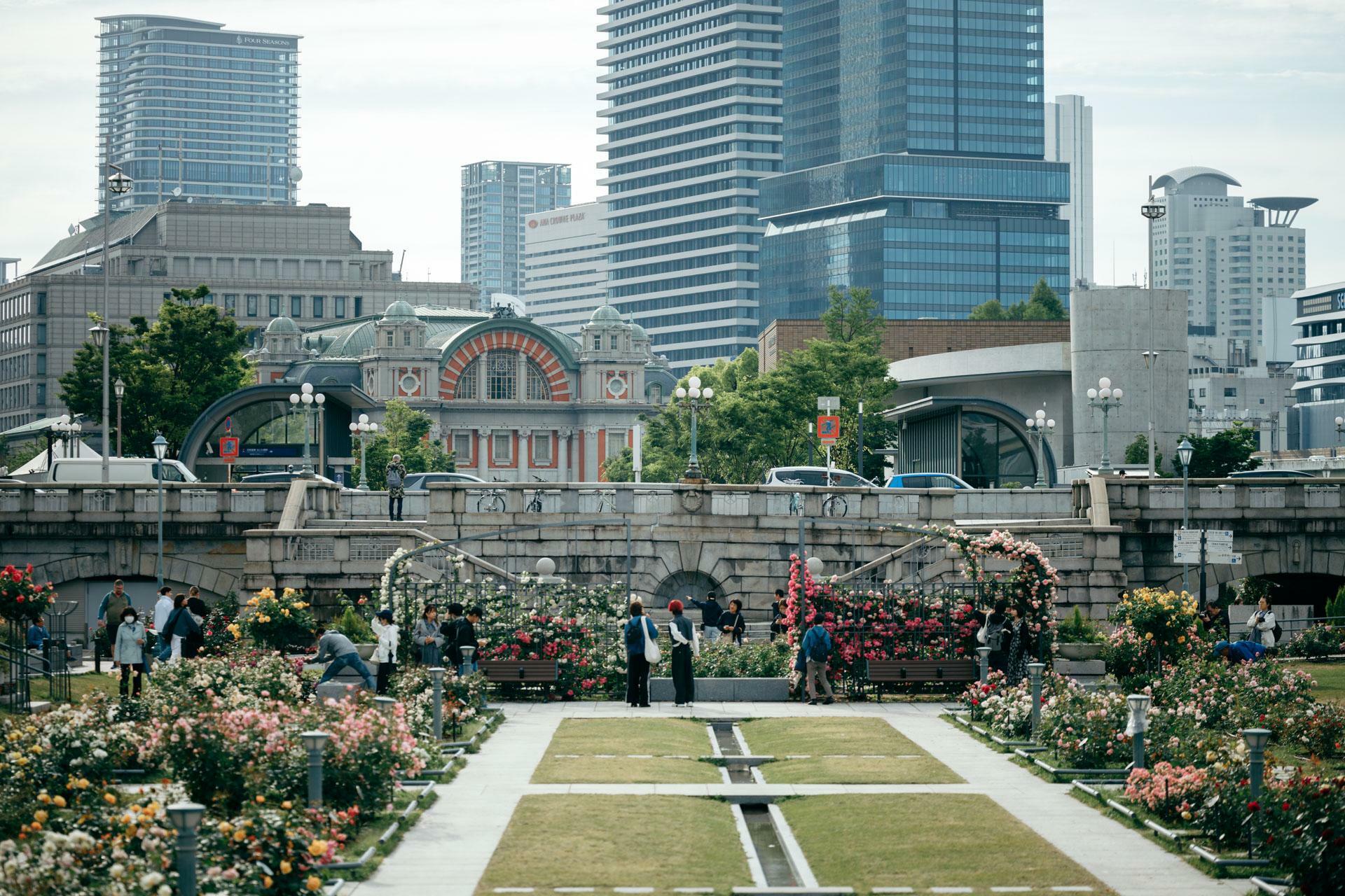 ビル群が経つ大阪の街中に緑豊かな公園が広がっています。