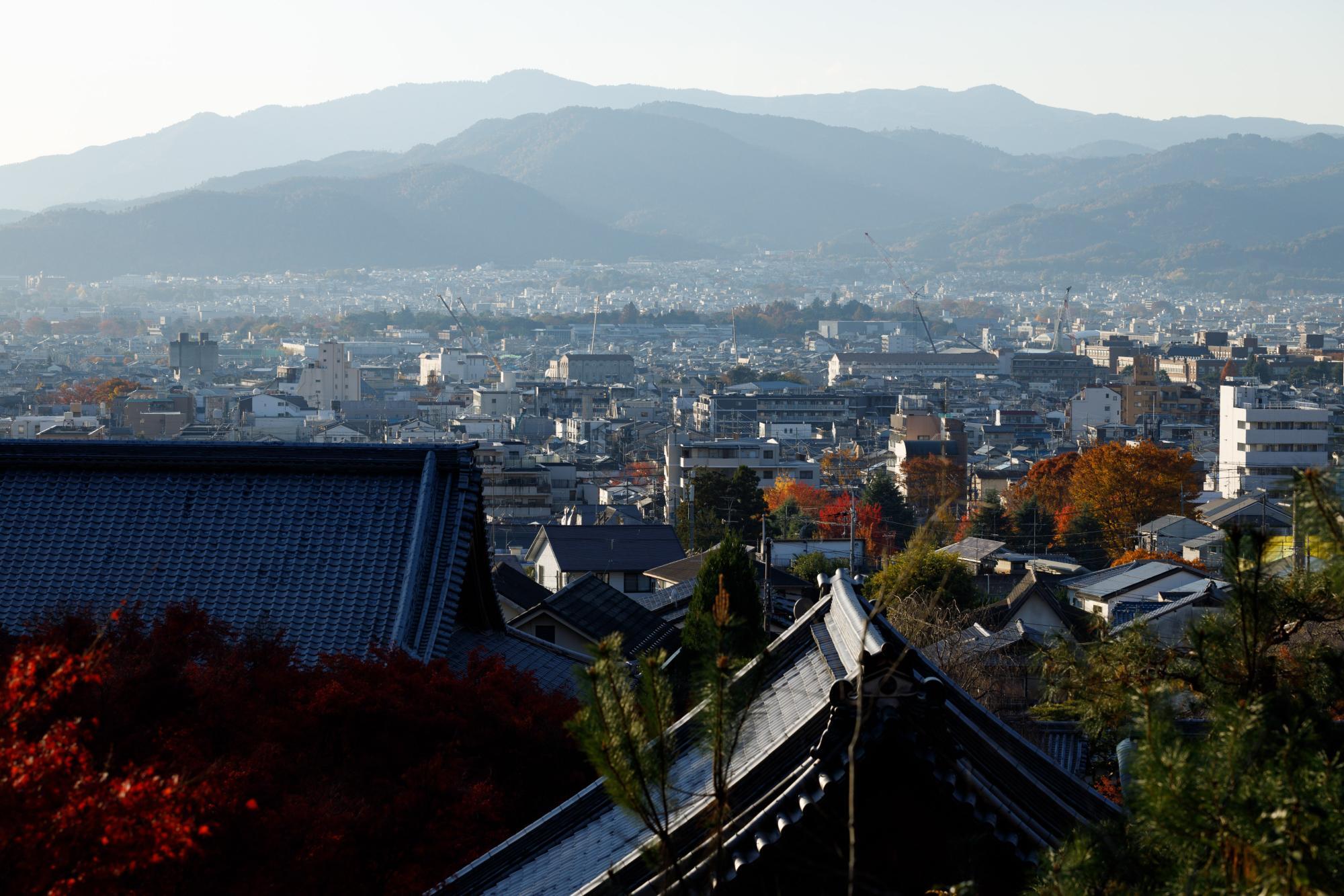 裏山からの眺め