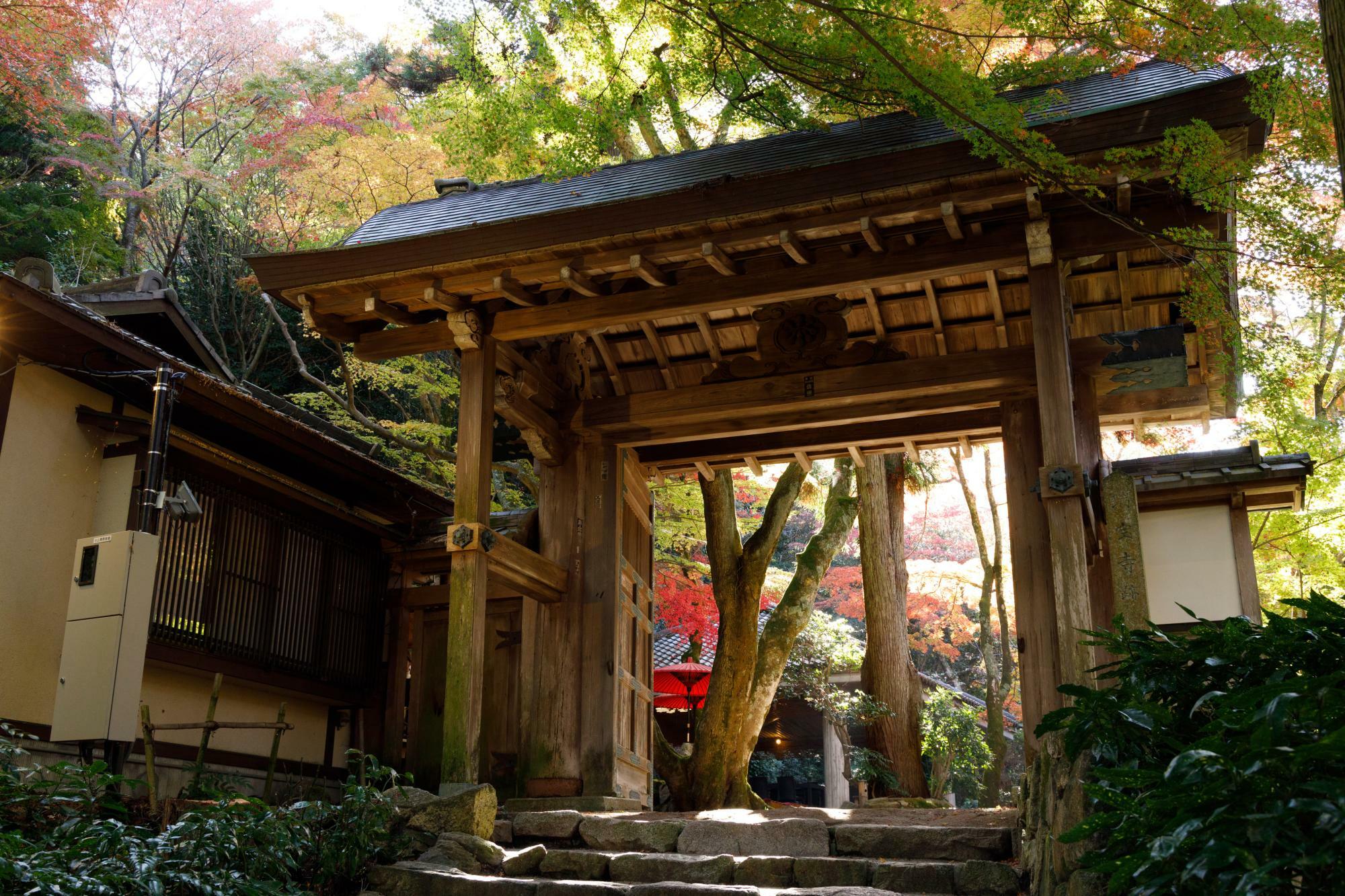 公園の入り口にある「旧瑞宝寺の山門」