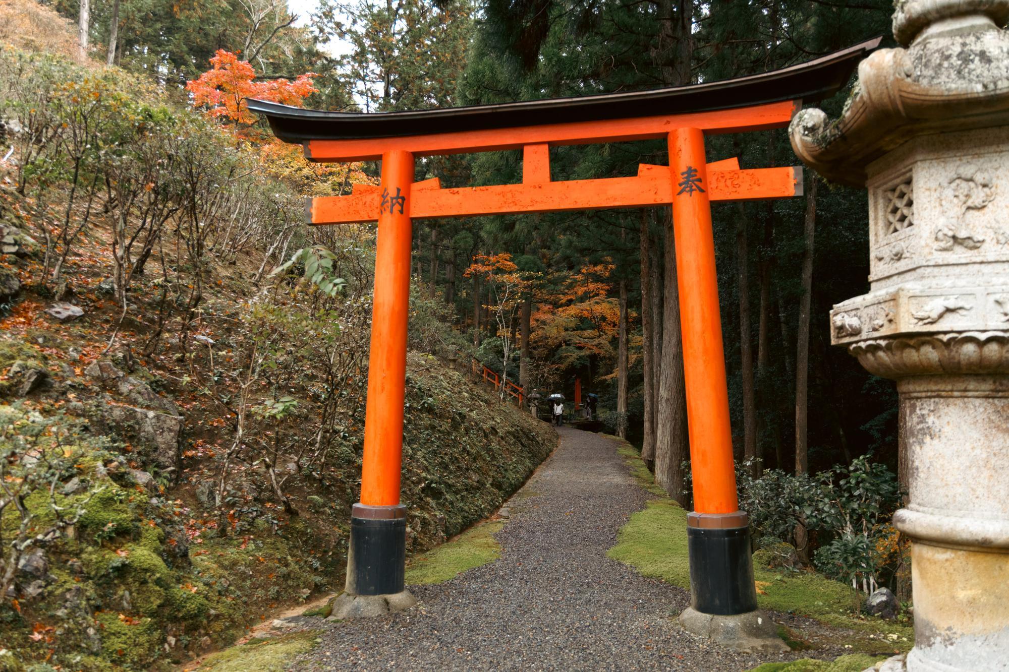 白龍神社の鳥居。なお神様を奉る祠は撮影禁止です。