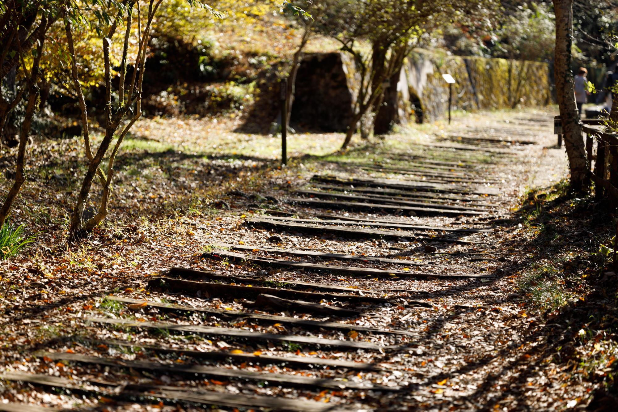 道のりには昔鉄道が通っていた線路の名残があります。