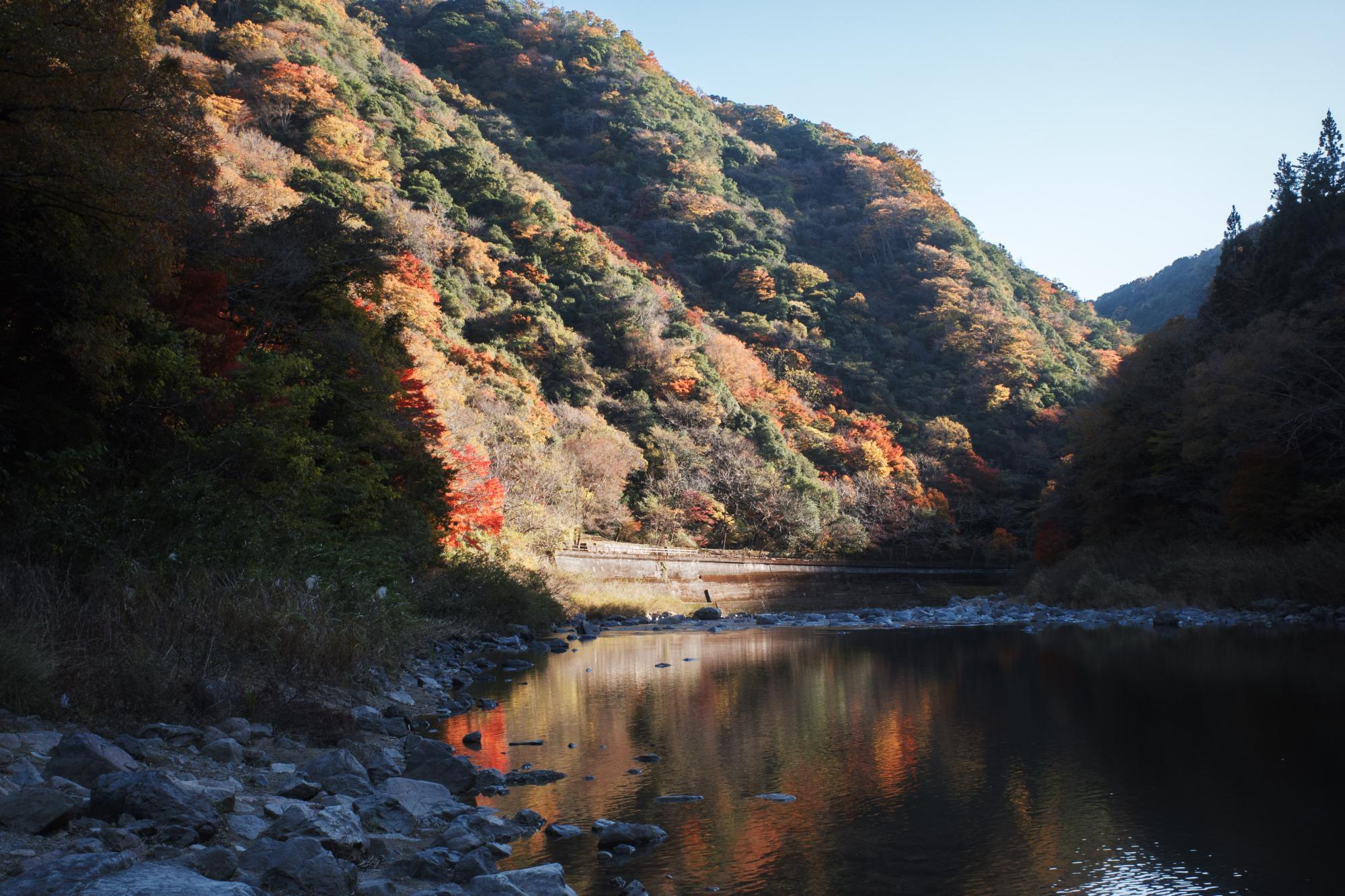 武庫川沿いに豊かな自然を眺めながらハイキングできる。