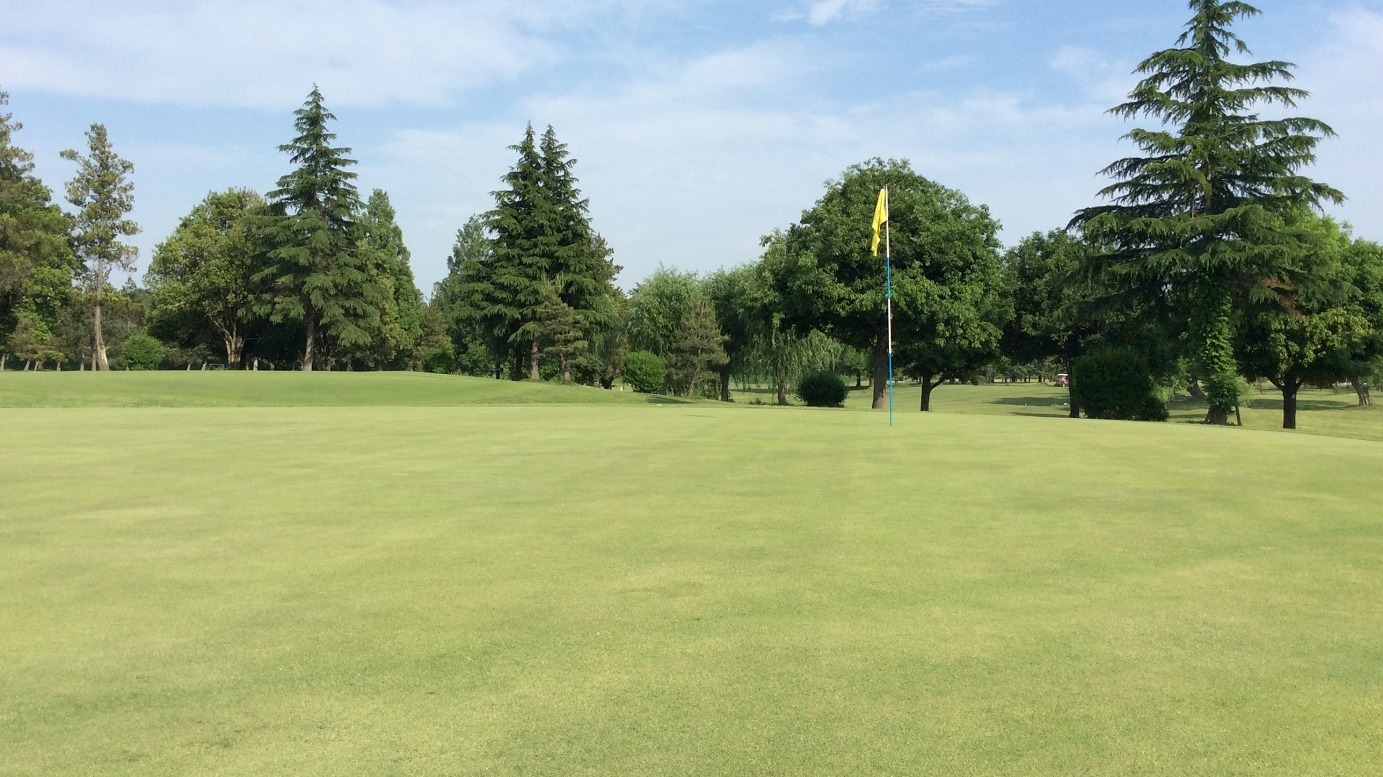 夏はグリーンにも特徴がある！夏ゴルフのパッティングで距離感を合わせる方法（野洲明） - エキスパート - Yahoo!ニュース