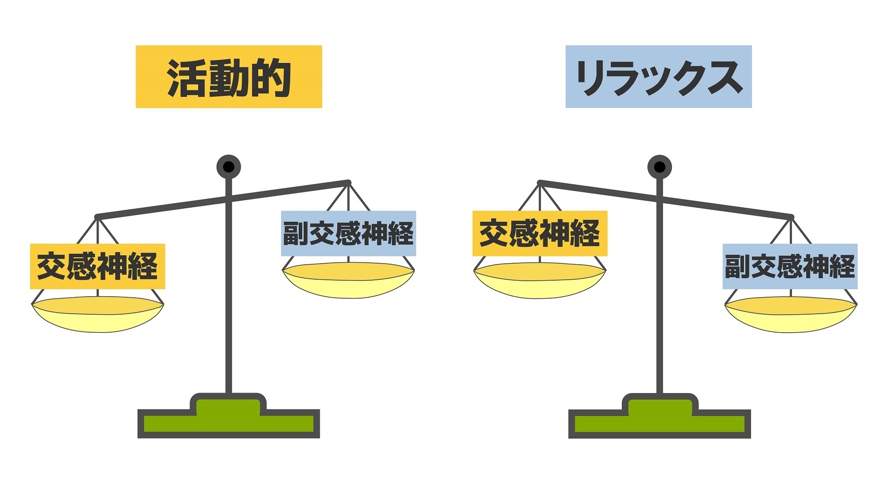 アクティブな時は交感神経優位　リラックス時は副交感神経優位