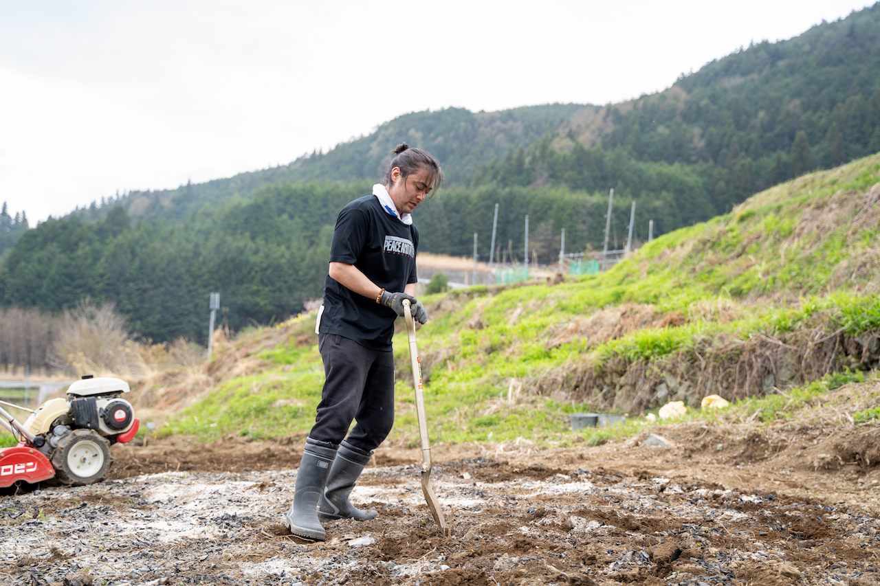 小雨の中、ショベルを使い土の中に竹炭を混ぜる