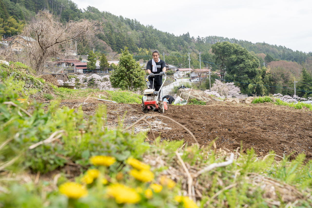 山梨県富士川町にある畑の周りには桜やタンポポ、土筆、水蓮の花などが咲いていた