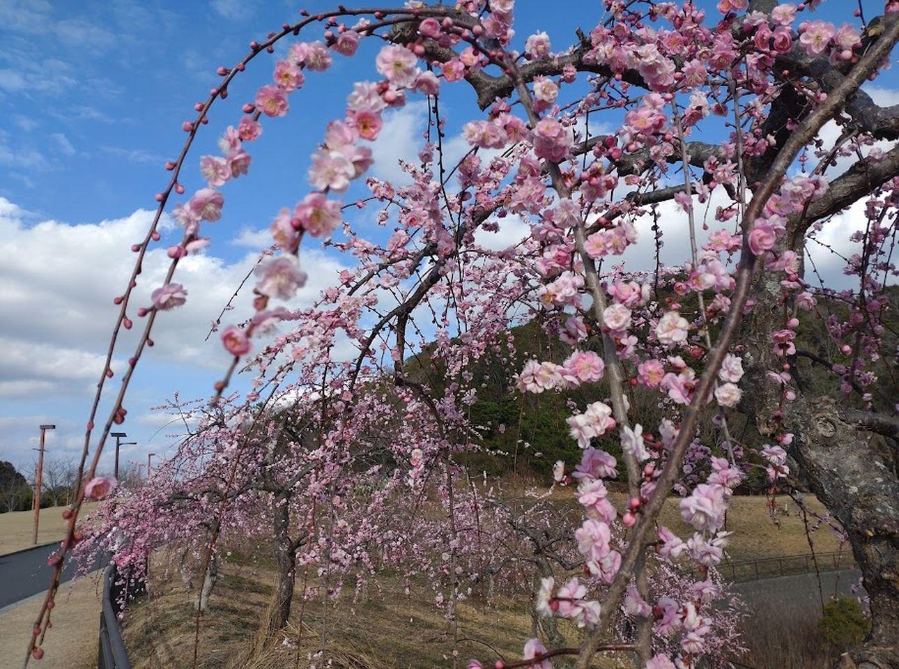 2024年2月3日（土）撮影