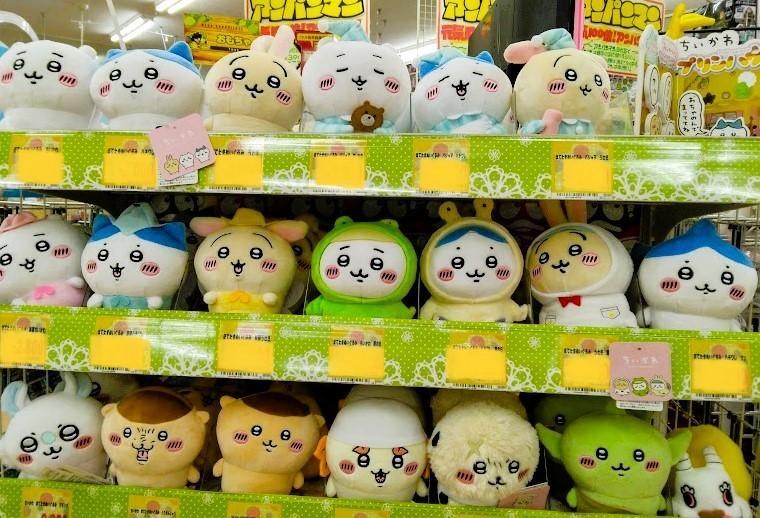 袋井市・磐田市】どこで推し活する? 2024年も激アツ 袋井市・磐田市】どこで推し活する? 2024年も激アツ