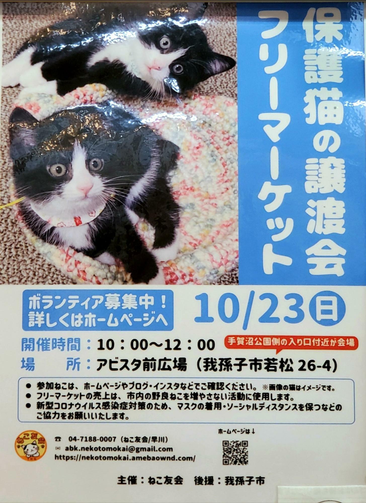 10月23日に開催された保護猫の譲渡会のポスター