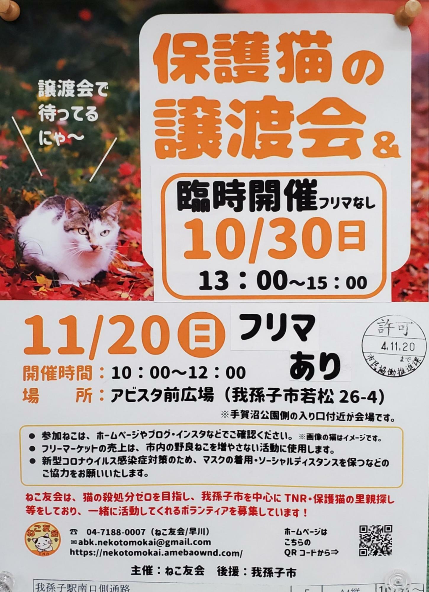 11月20日に開催される保護猫譲渡会の案内ポスター