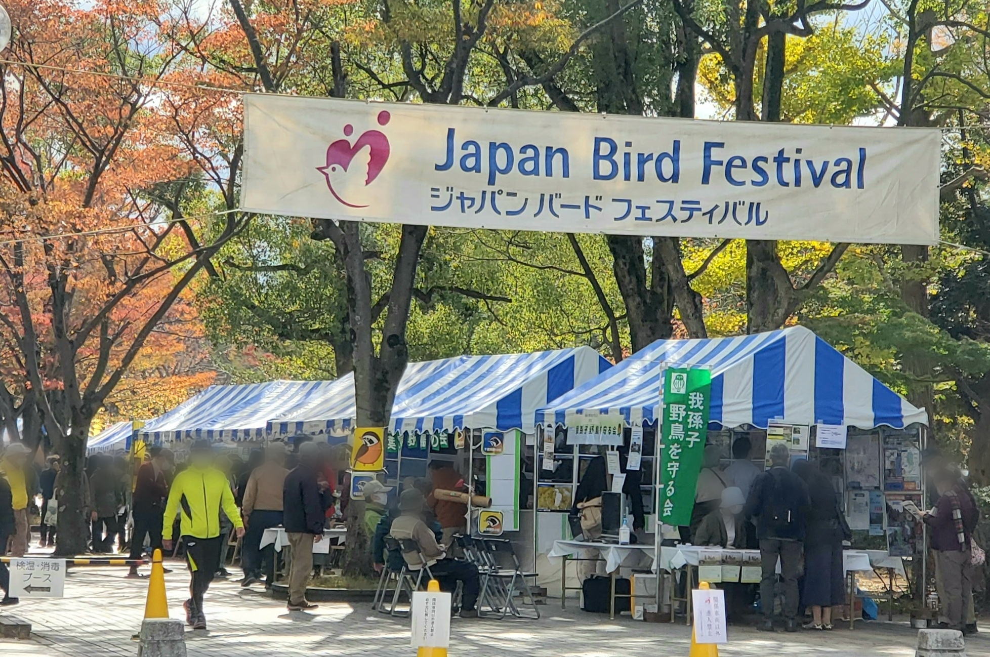 ジャパンバードフェスティバル手賀沼公園会場