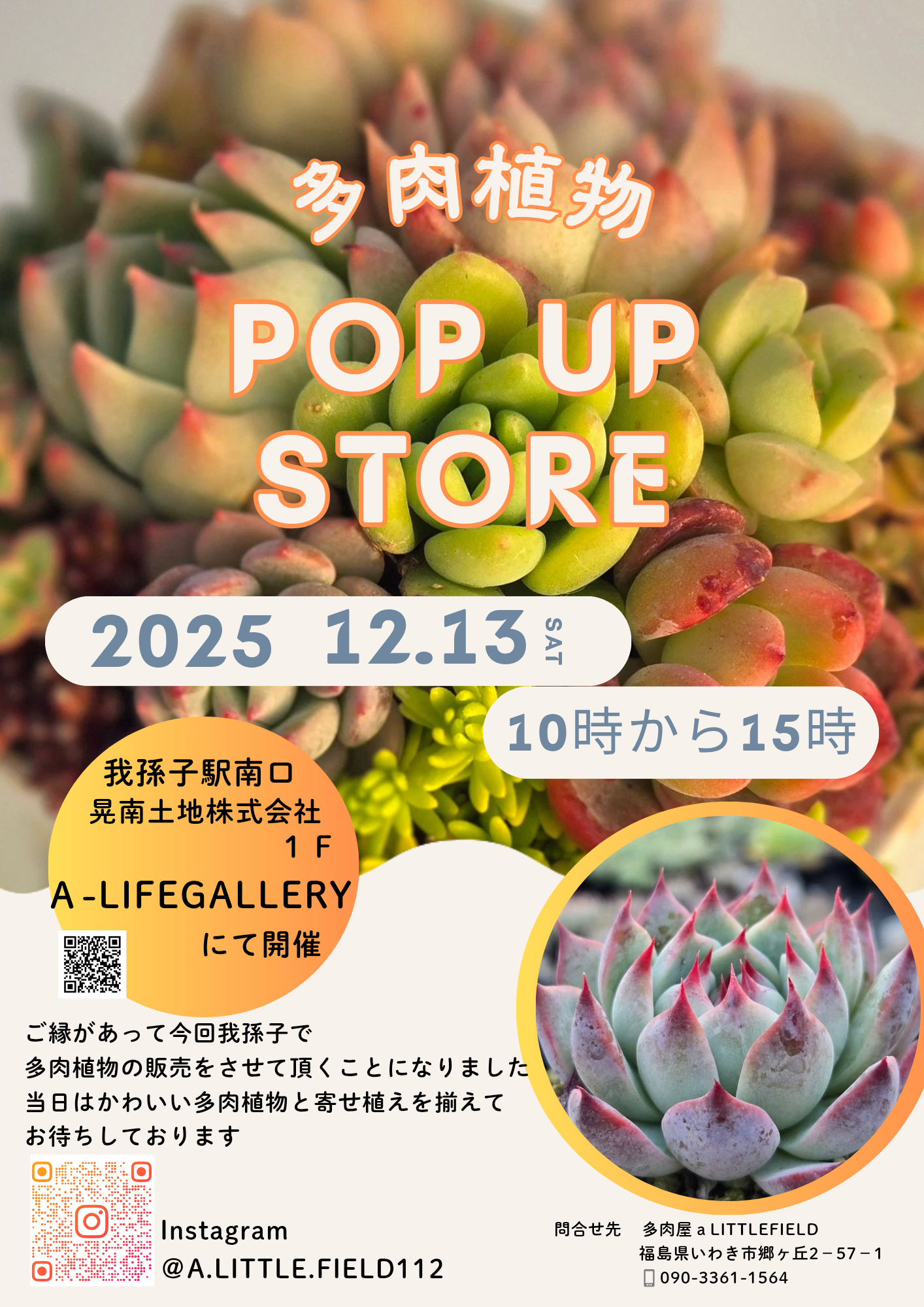 その他多肉植物 mi_na_1208 その他多肉植物 mi_na_1208 その他多肉植物