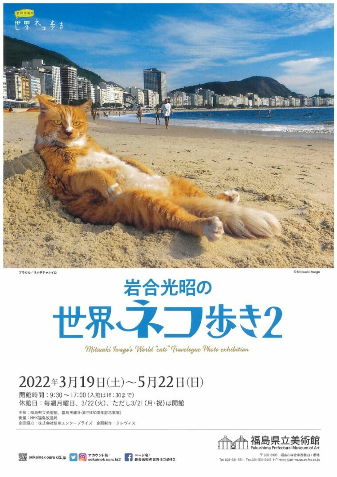 岩合光昭の世界ネコ歩き２／福島県立美術館