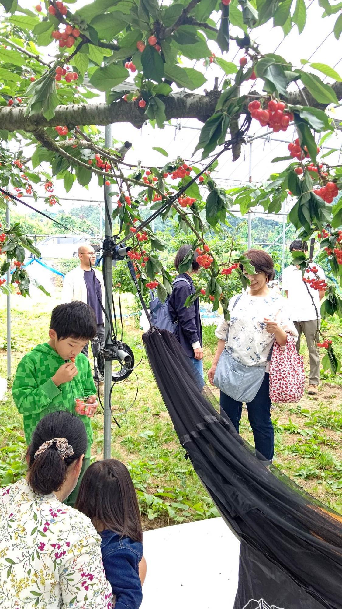 「学べる遊べる畑」※今年は終了しました