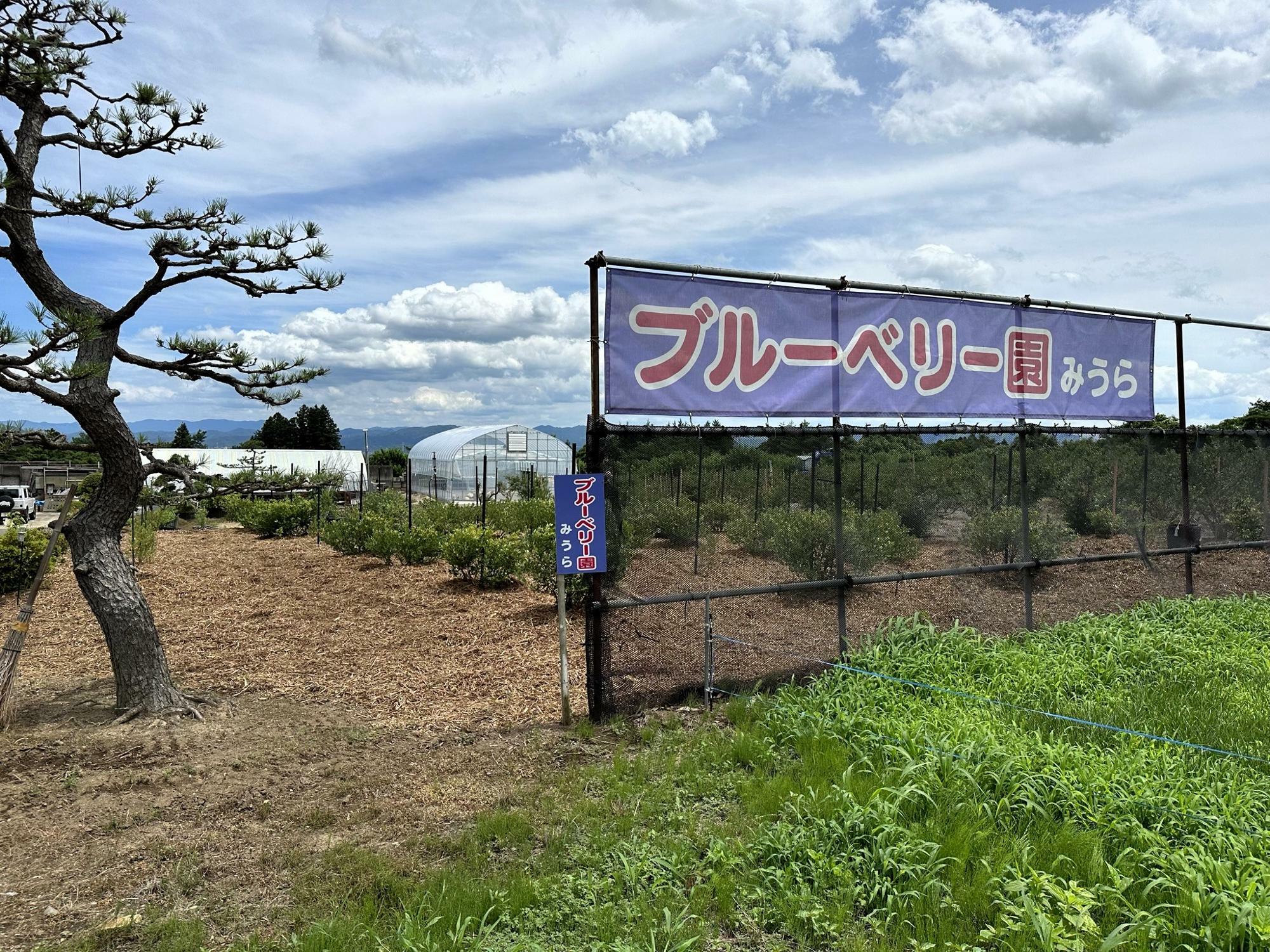 福島市桜本字玉南28-15