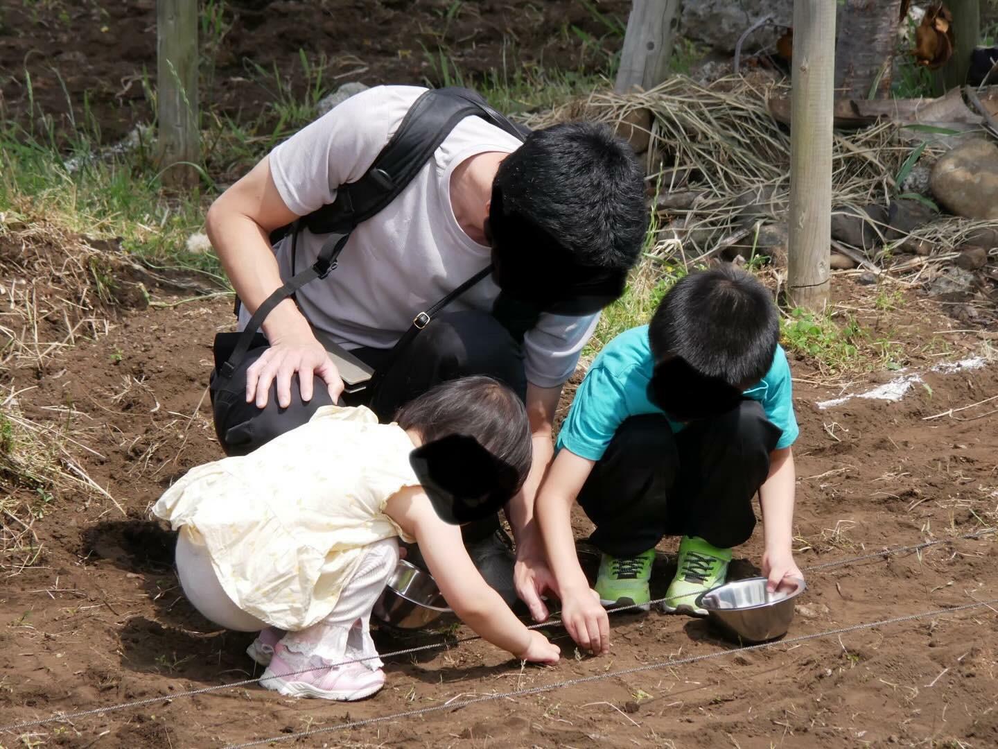 「まちの活性化委員会」様より画像提供：夏のひまわり種まきの様子