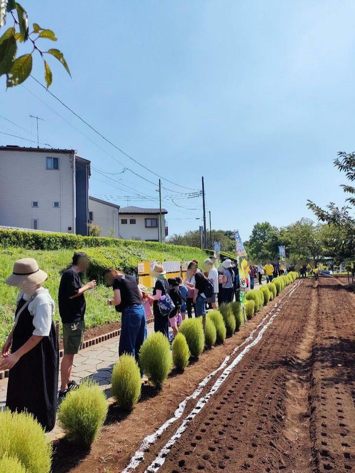 「まちの活性化委員会」様より画像提供：ひまわり種まきの様子